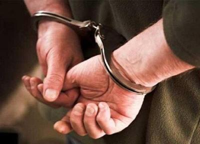 دستگیری یک شبکه ضد انقلاب در مشهد ، برنامه اغتشاش و ناامنی خنثی شد