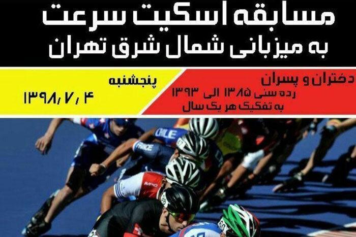 منطقه 4 میزبان اسکیت بازان می شود منطقه 4 میزبان اسکیت بازان می گردد