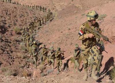 ارتش مصر توانایی محافظت از امنیت ملی کشور را دارد