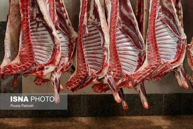 توزیع گوشت منجمد وارداتی با قیمت هرکیلو 40 هزار تومان در آینده نزدیک
