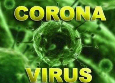 آخرین اخبار از ویروس قاتل ، از افزایش قربانیان تا ساخت داروی ضدویروس کرونا!