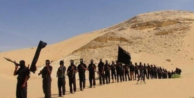 قتل 4 شهروند مصری توسط داعش به بهانه همکاری با ارتش