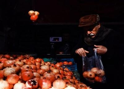 قیمت میوه در شب یلدا کاهش پیدا می نماید