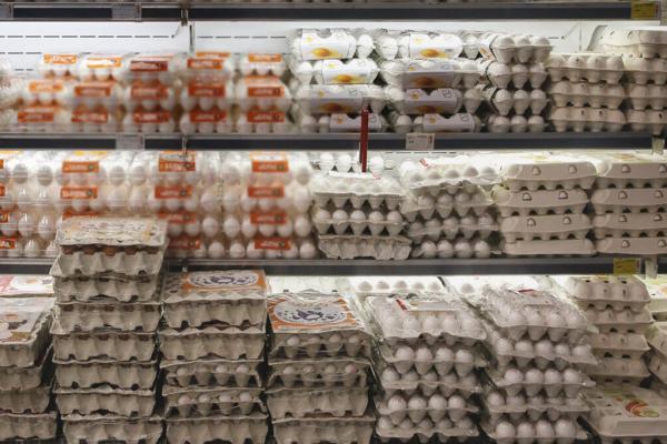 جدیدترین قیمت انواع تخم مرغ در بازار ، 20 عدد تخم مرغ 79 هزار تومان
