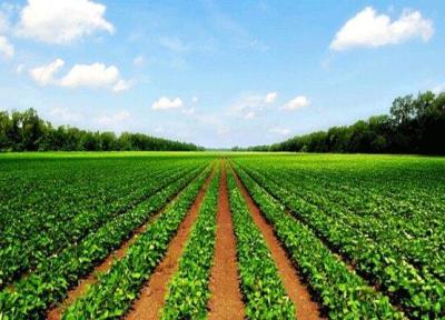 9 پروژه ملی برای توسعه کشاورزی زیستی اجرا می گردد
