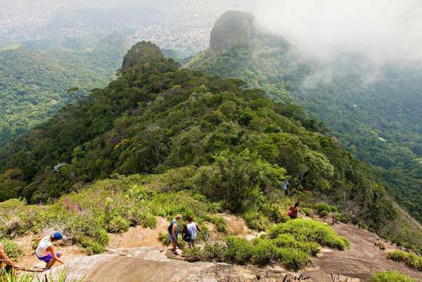 پارک ملی تیجوکا، یکی از زیباترین جنگل های برزیل